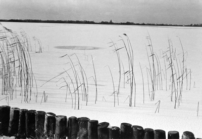 848434 Gezicht over de dichtgevroren Vinkeveense Plassen.